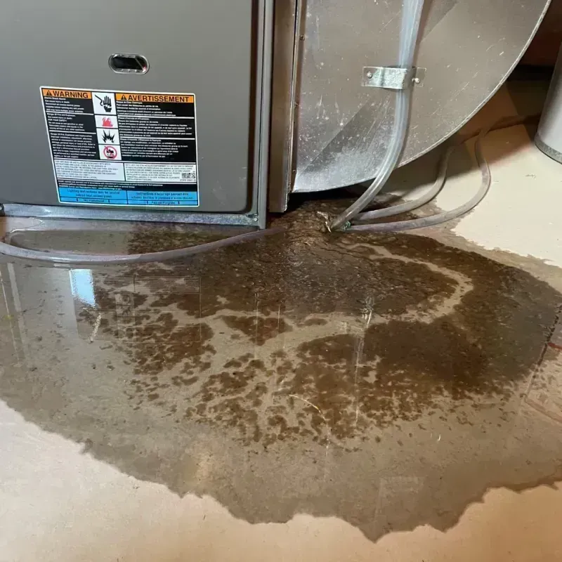 Appliance Leak Cleanup in Davidson County, TN